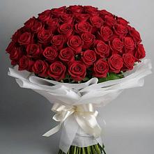 Букет 101 Красная роза Блэк Мэджик в Юганце