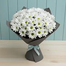 Букет цветов из:  Хризантемы #REPLACE_PRED# Юганце