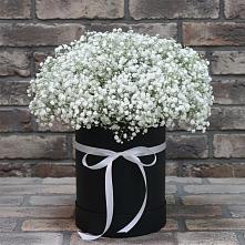 Цветочная композиция из Гипсофила в шляпной коробке #REPLACE_PRED# Юганце