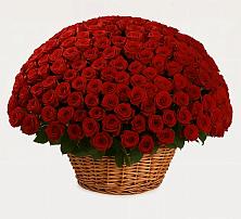 Премиум букет из: Розы в Юганце